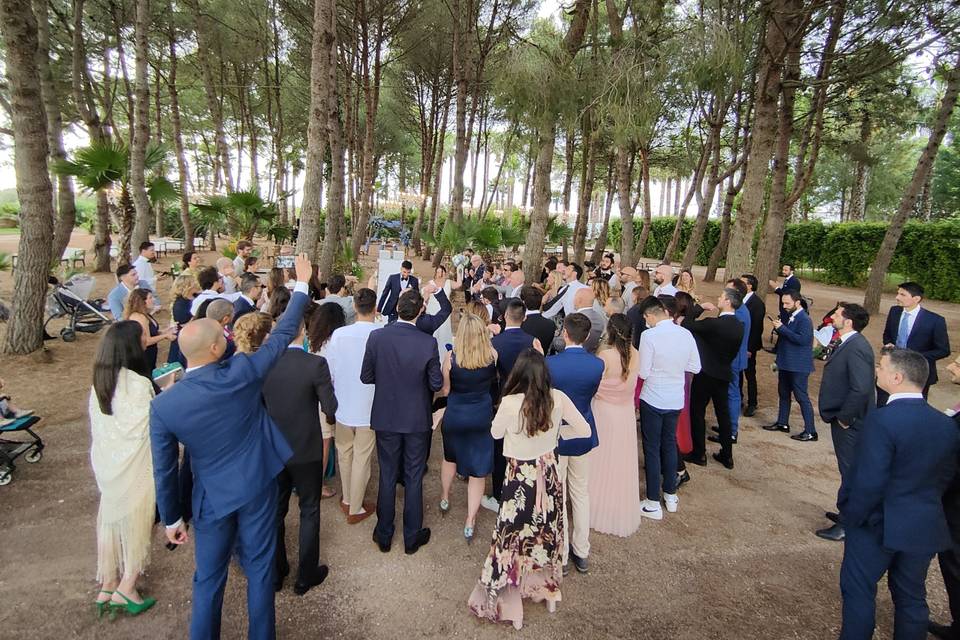 Wedding under the Pine Trees