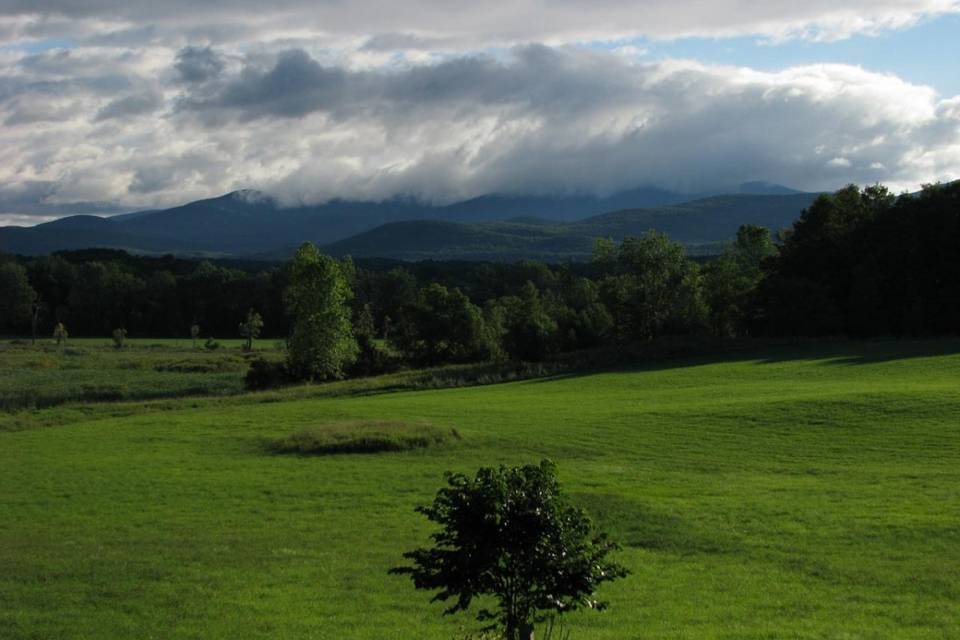 Fields in mid summer and huge skies