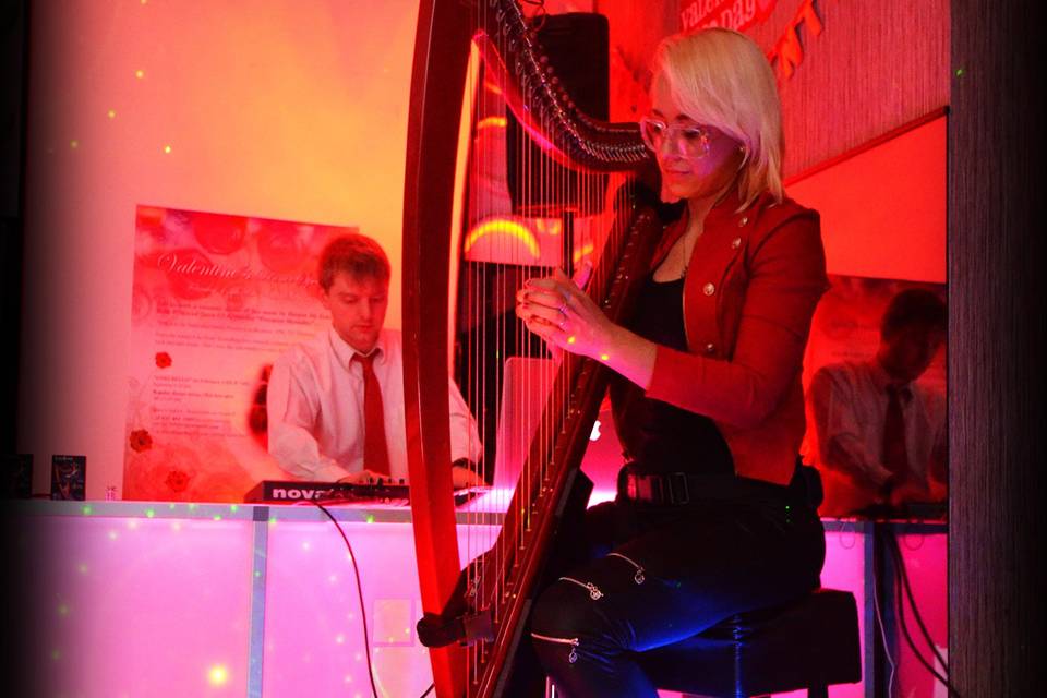 Wedding Harpist Ceremony Music Miami Fl Weddingwire