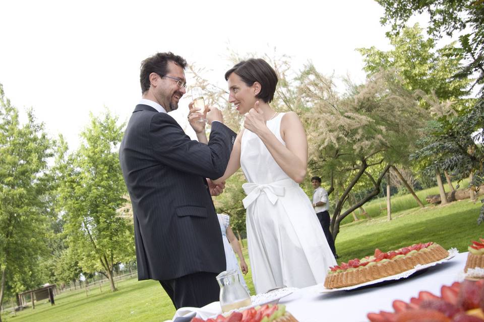 Cake tasting