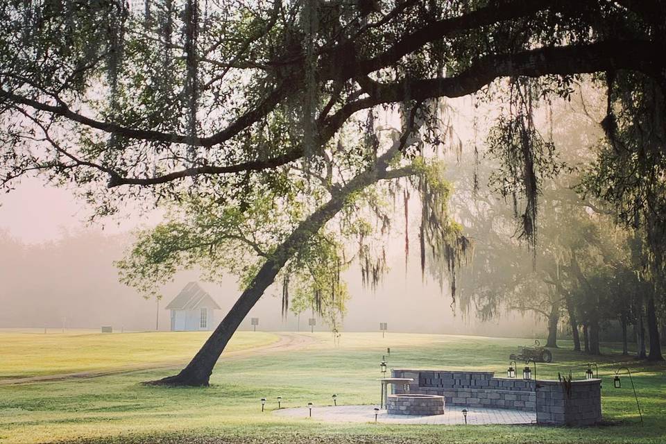 Dawn on the Farm