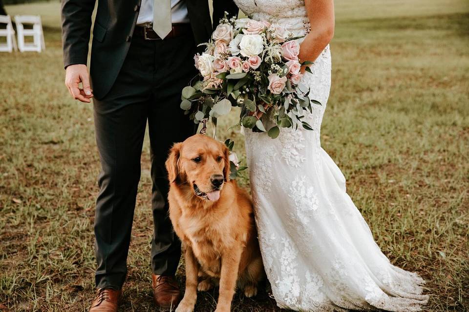 Dog friendly