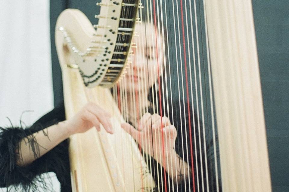 harp 2024