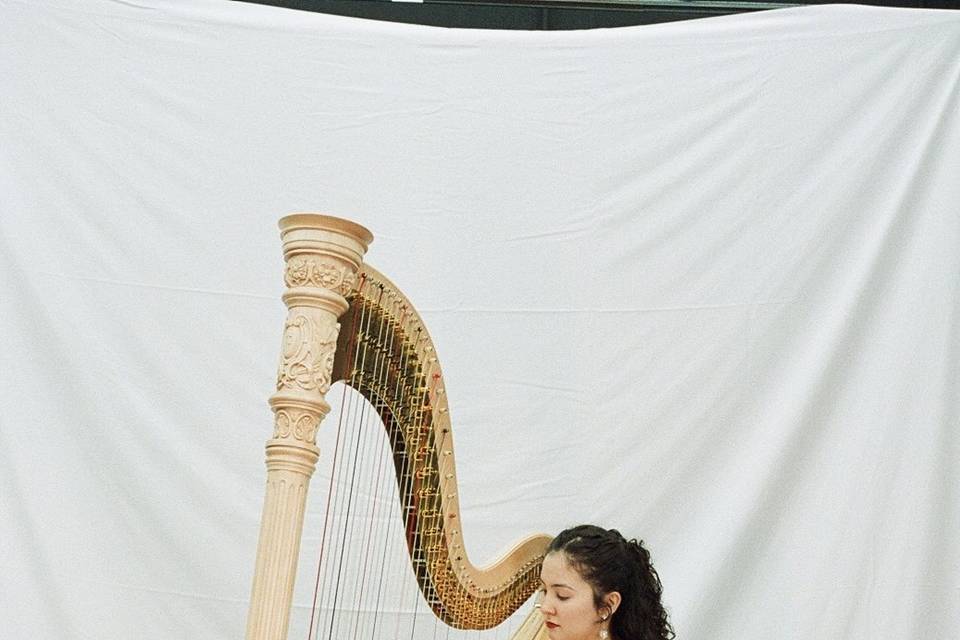 harp on film