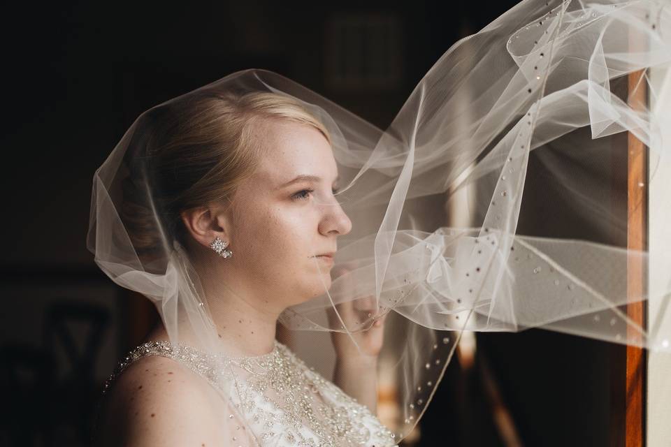 Stunning bridal veil