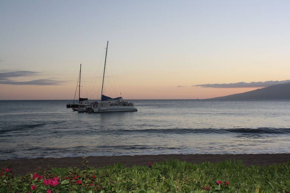 Peaceful sunrise in Hawaii