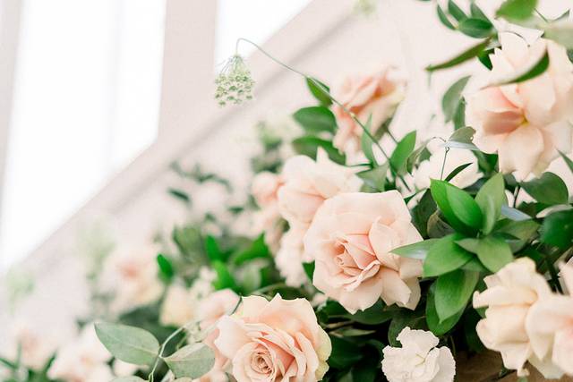 Lush blooms