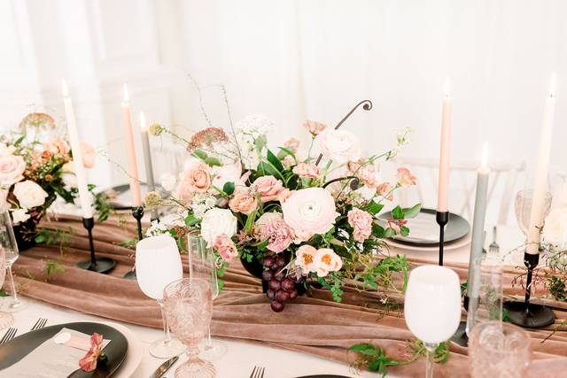 Stacey Harting Photography