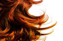 Primp Hair Studio
