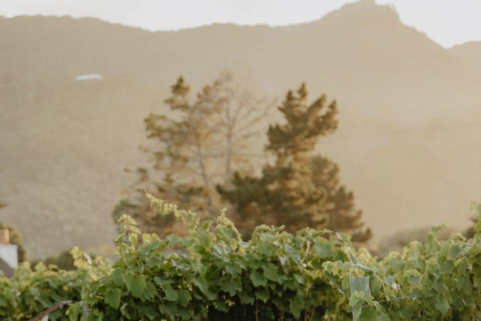 Folktale Winery