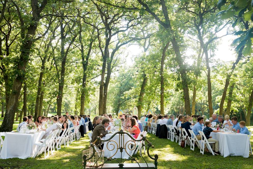 Dinner in the woods