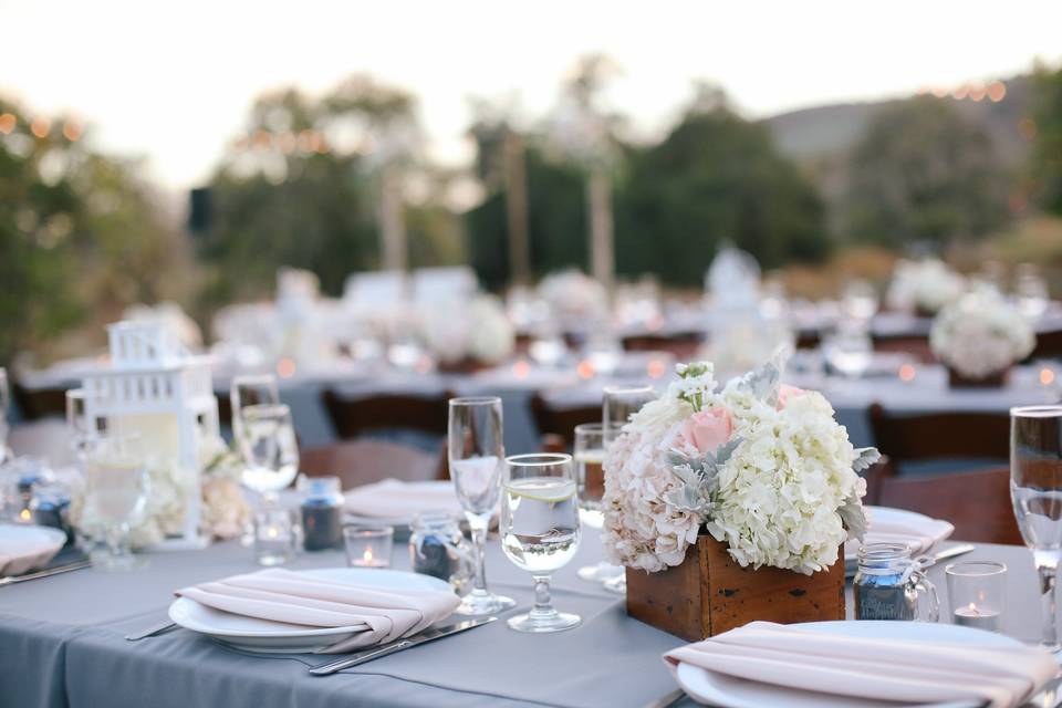 Orange County's Hamilton Oaks Vineyard Events