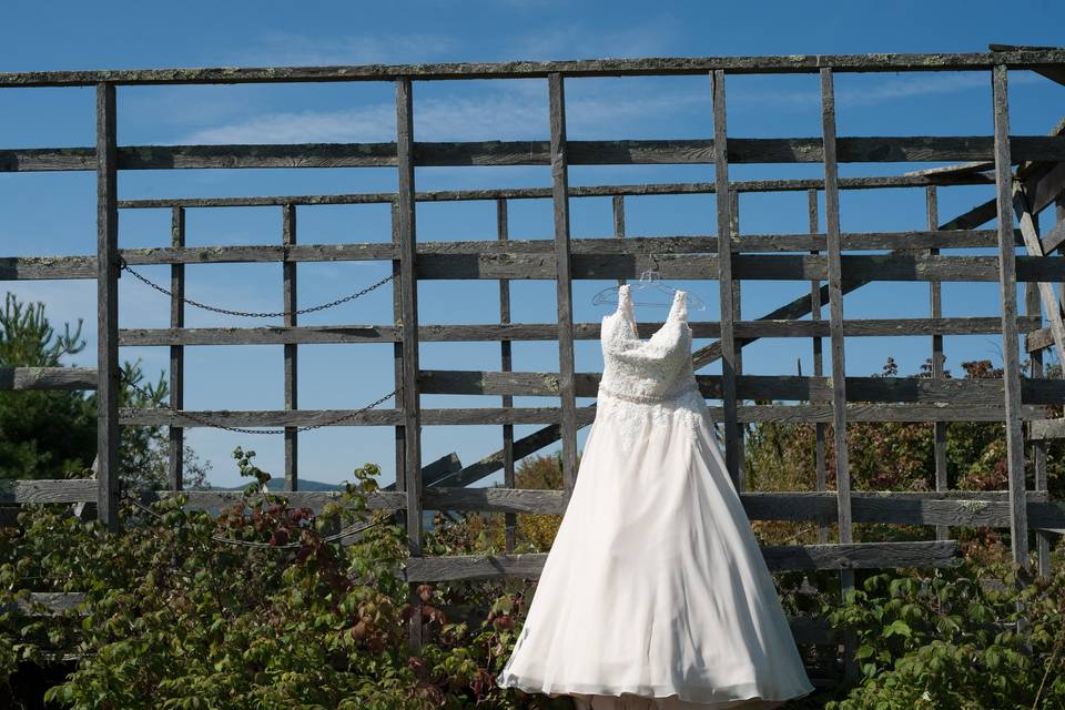 The dress on the farm