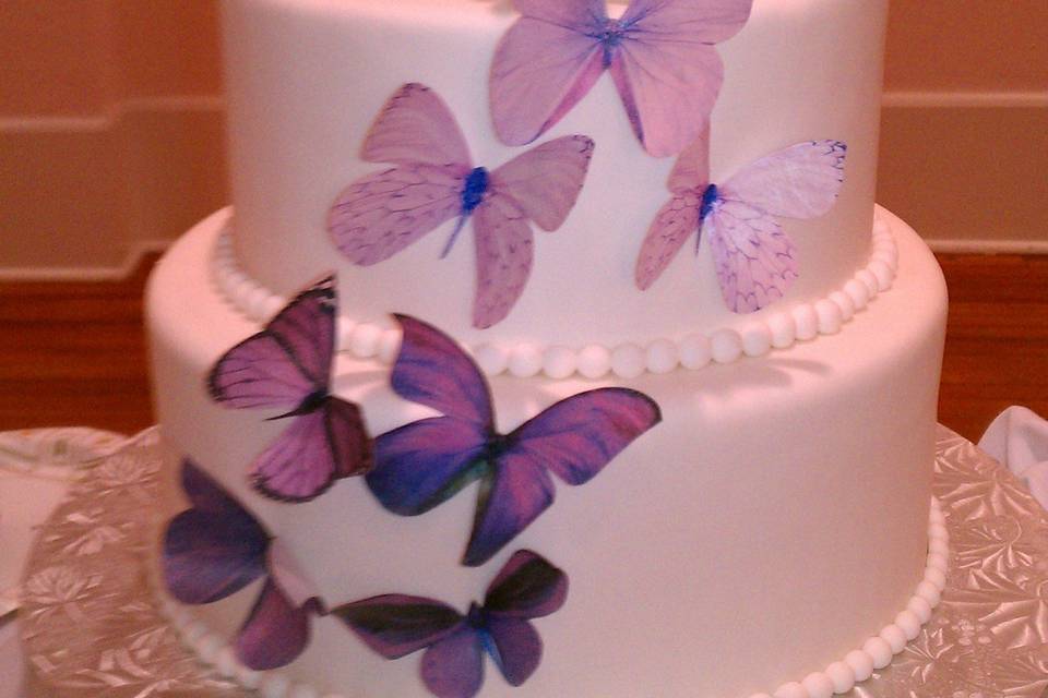 Violet butterflies