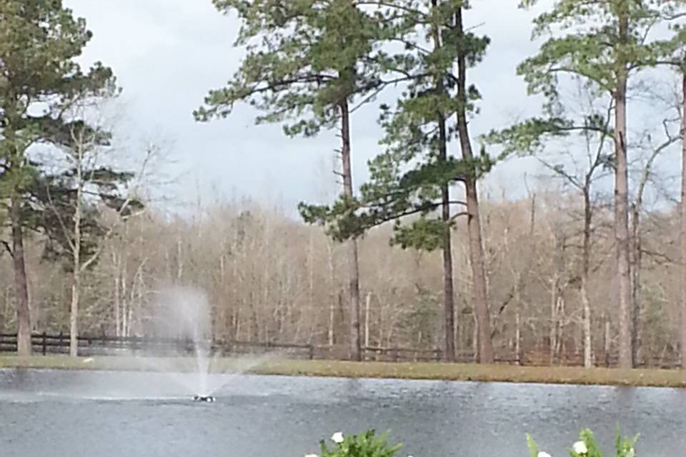 Ceremony by the pond