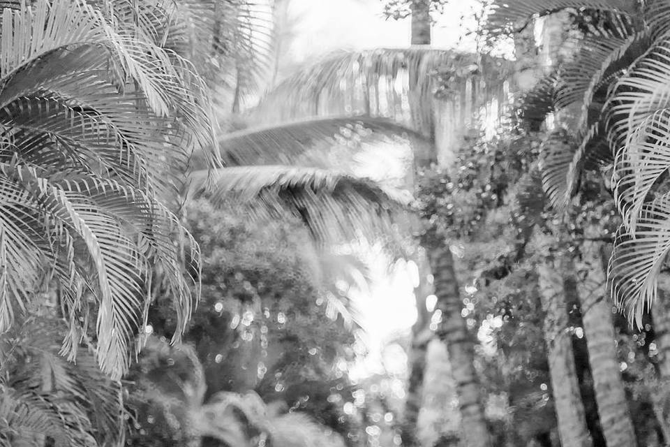 Bridal portrait hawaii