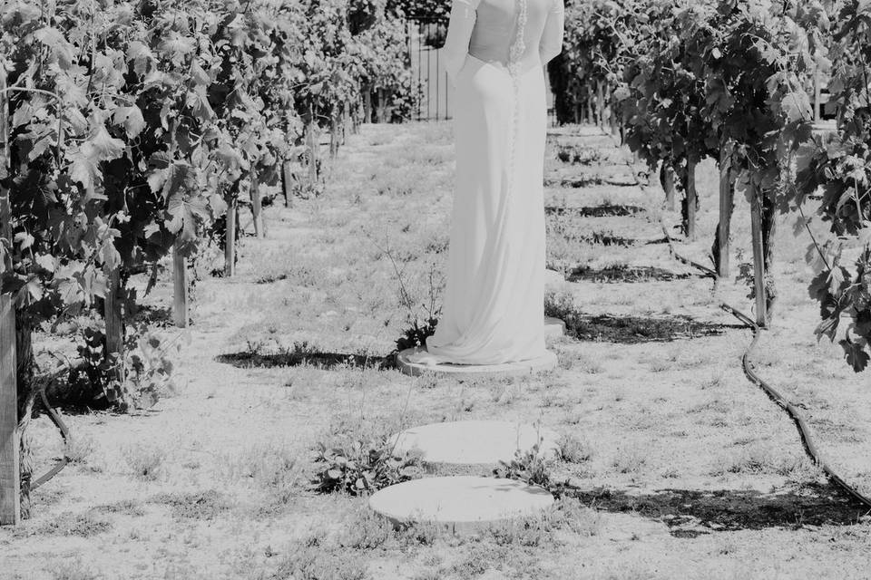 Temecula vineyard wedding