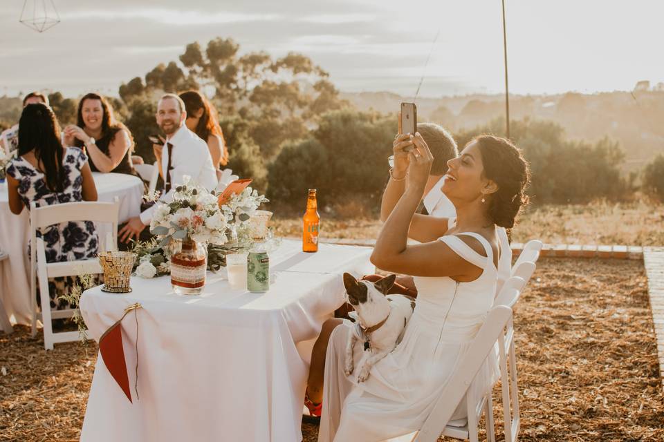 Backyard Wedding