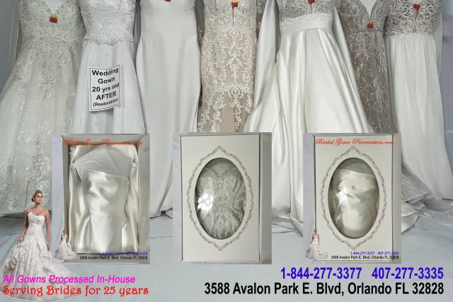 Wedding dress preservation 2024 by the knot