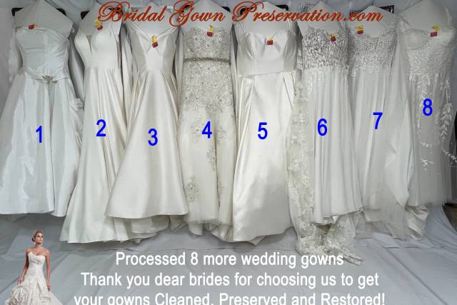 Wedding gown shop preservation cost