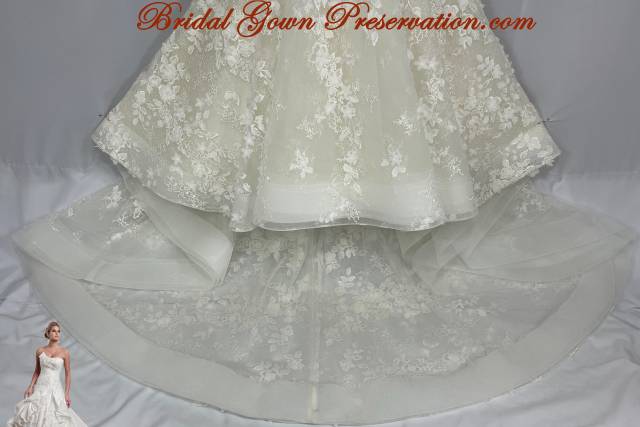 Bridal Gown Preservation Dress Attire Orlando FL WeddingWire