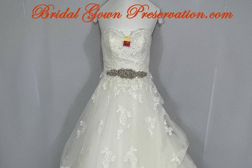 Wedding gown processed