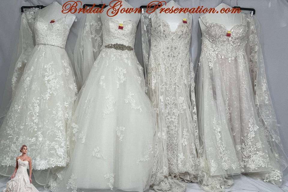 Wedding gown processed