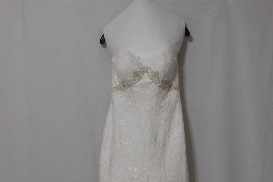 Bridal Gown Preservation