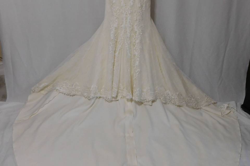 Bridal Gown Preservation