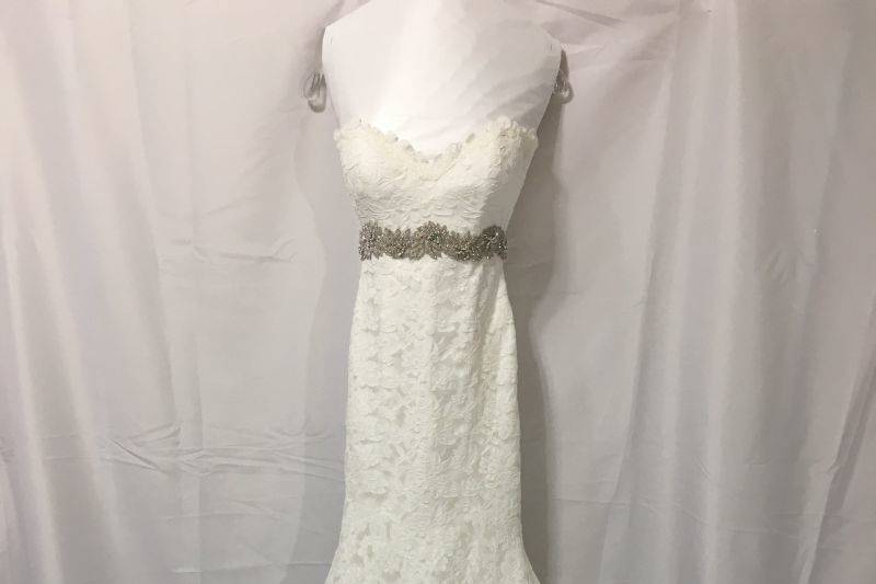 Bridal Gown Preservation