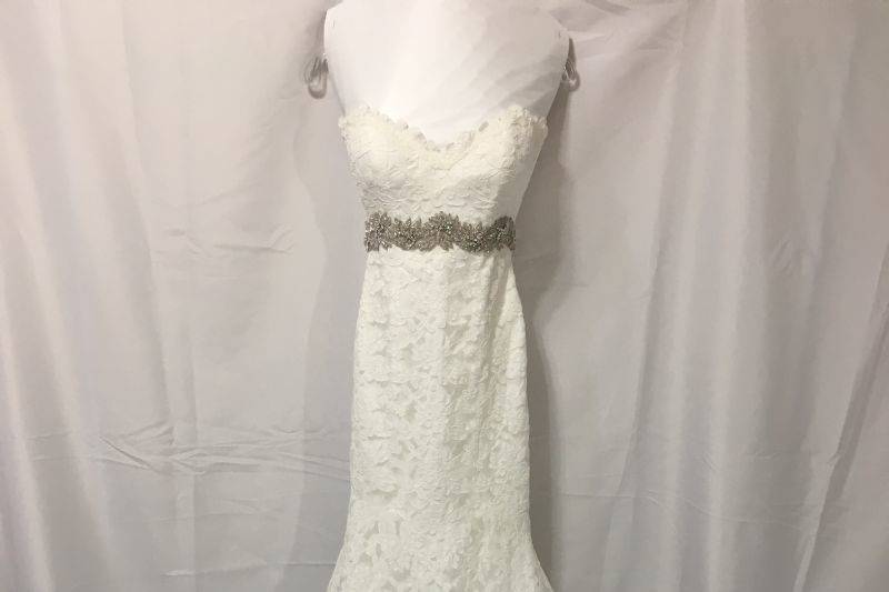 Bridal Gown Preservation