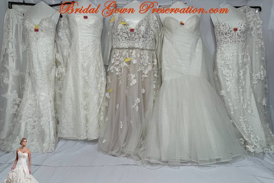 5 more gowns processed.  ThnkU