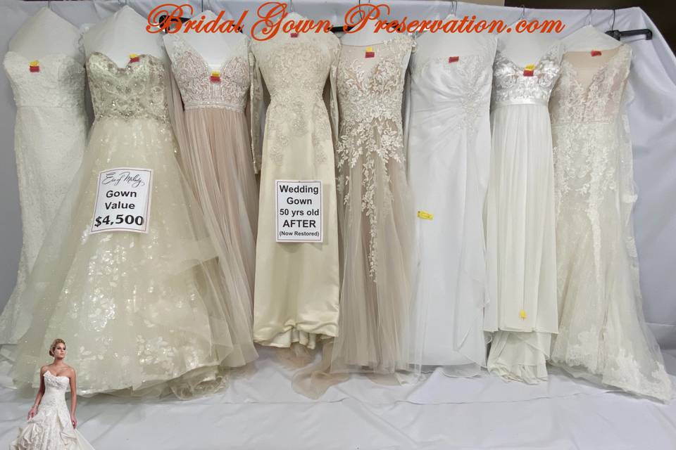 Bridal Gown Preservation