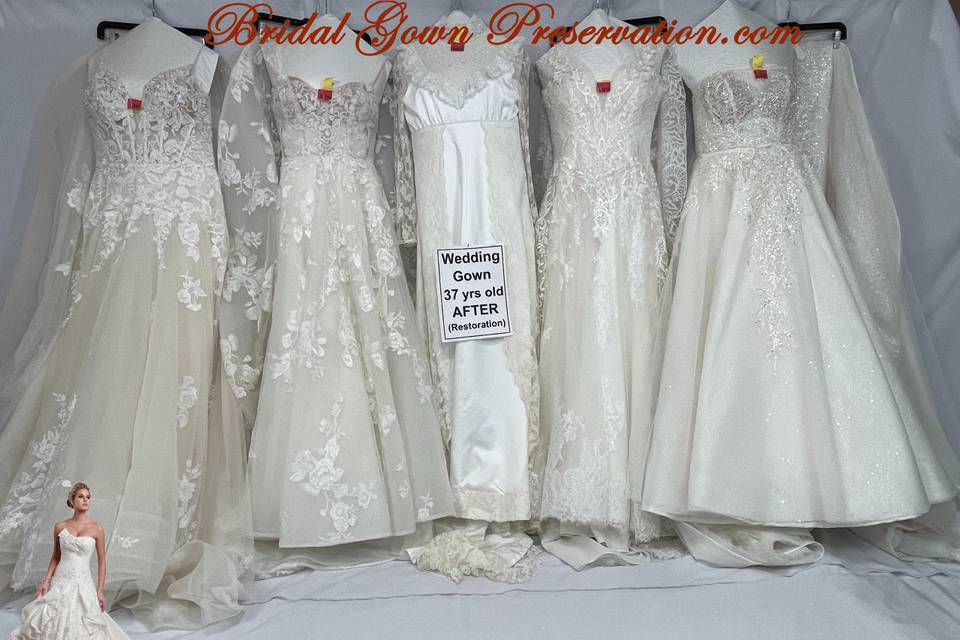 Queen Wedding Gown Preservation & Cleaning