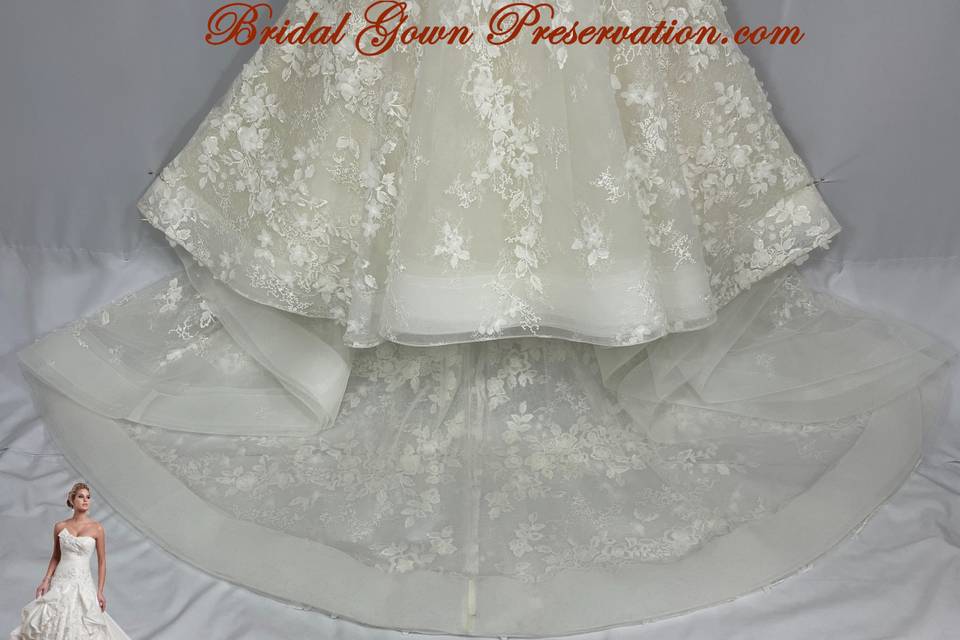 Wedding Dress Wedding Gown