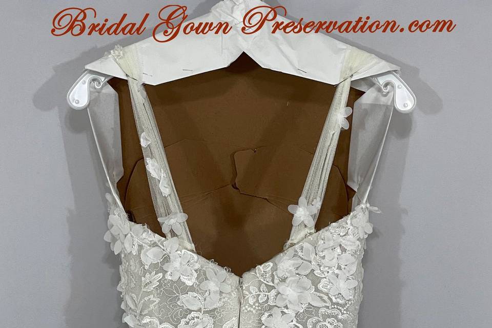 Wedding Dress Wedding Gown