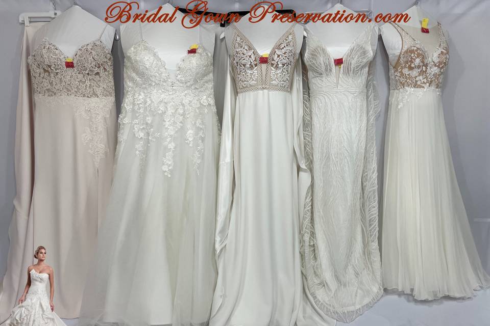 More Gowns processed