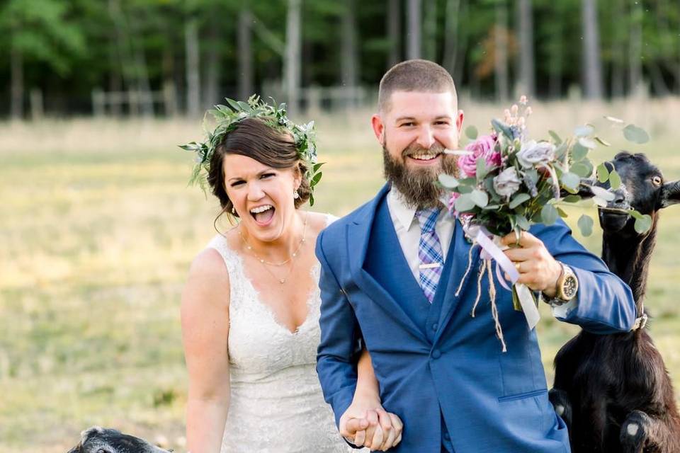 Goat eating bouquet!