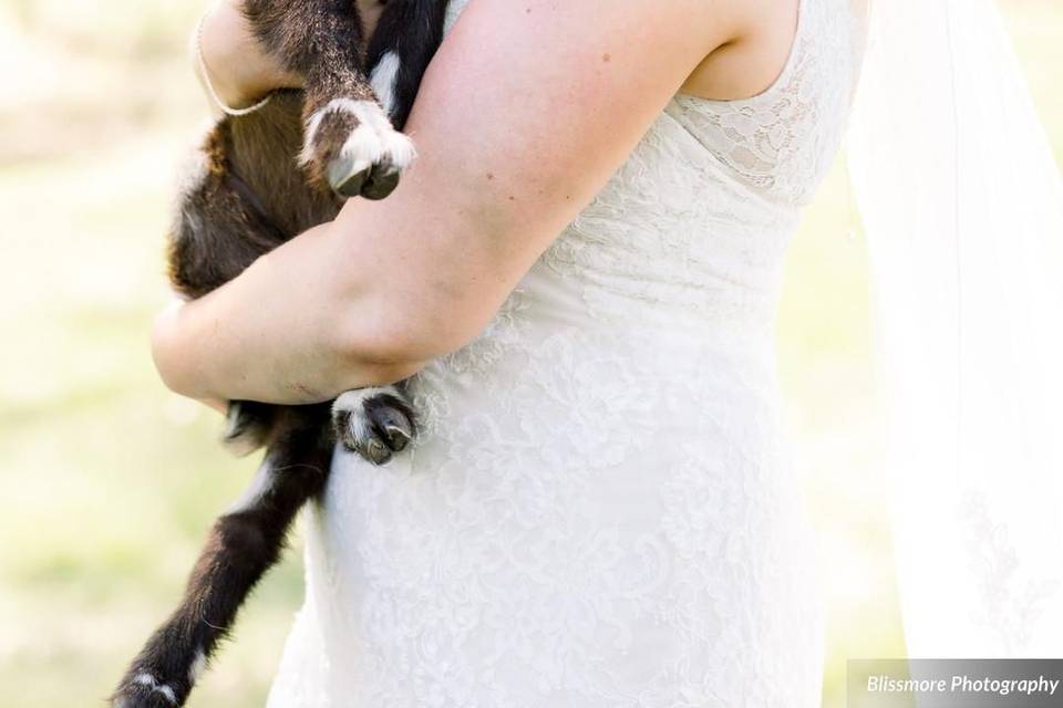 Goat being held!