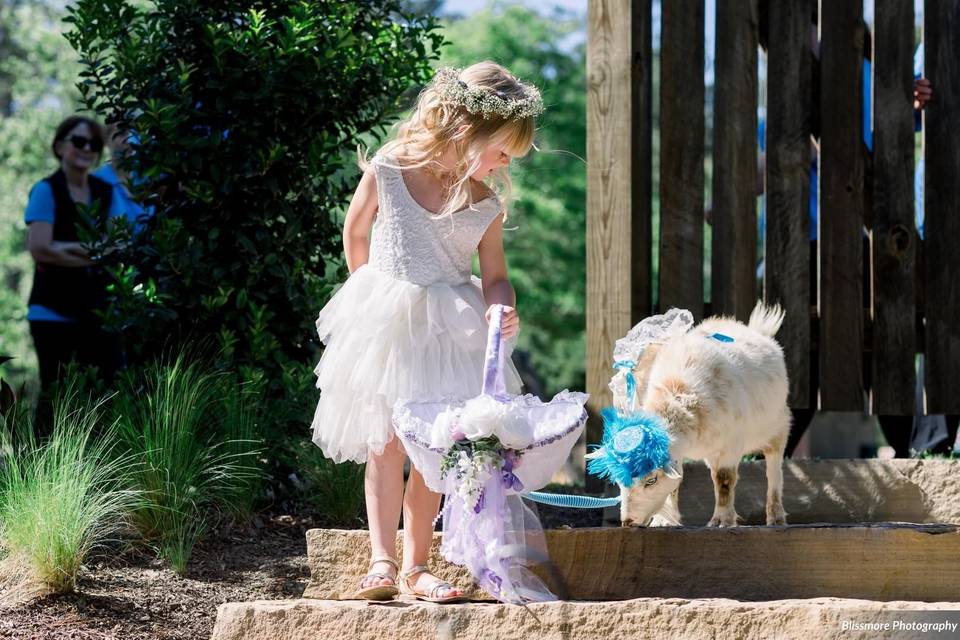 Rosie and the flower girl