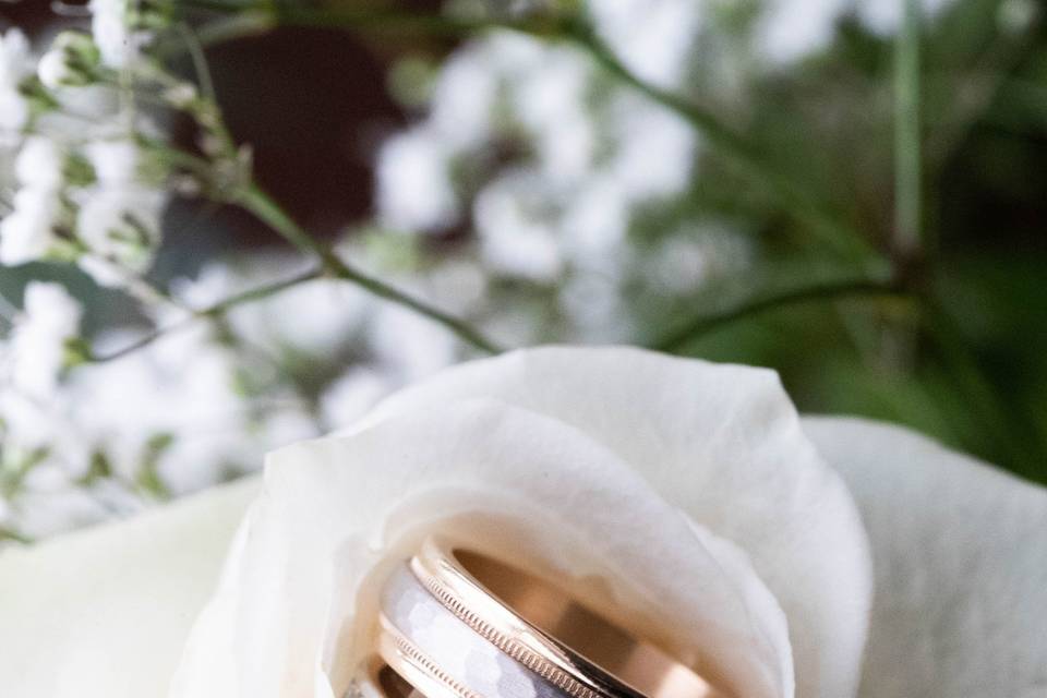 Rings inside a white rose