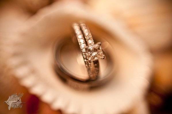 Holly Dolly Photography