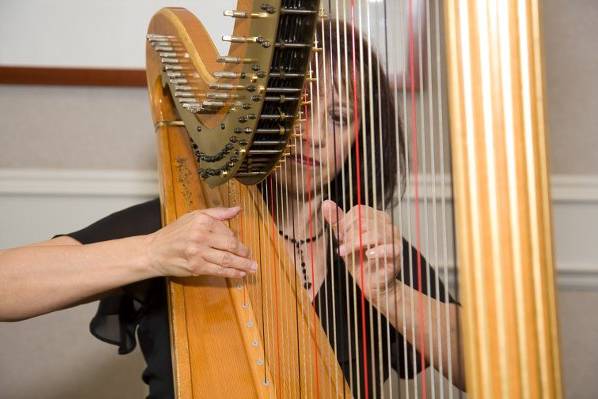 Miriam Weber Brown, Harpist