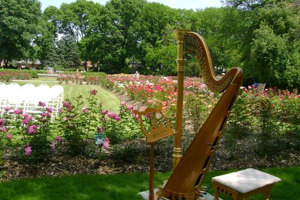 Miriam Weber Brown, Harpist