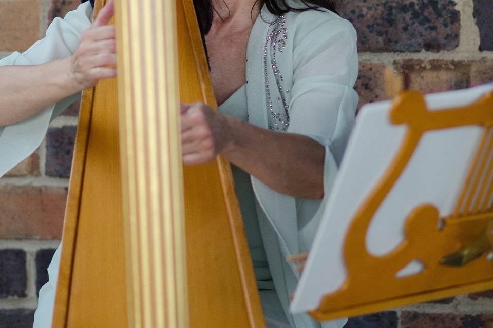Miriam Weber Brown, Harpist