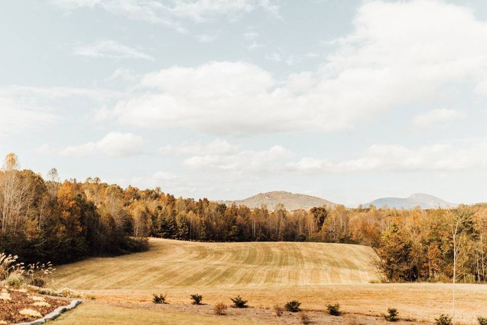 Meadows at Mossy Creek