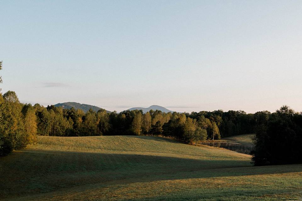 Early Morning - 2