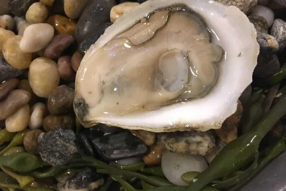 O' Oysters