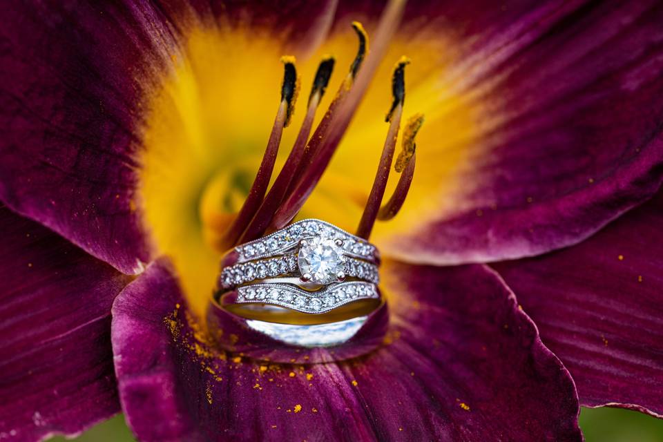 Wedding Rings in Flower