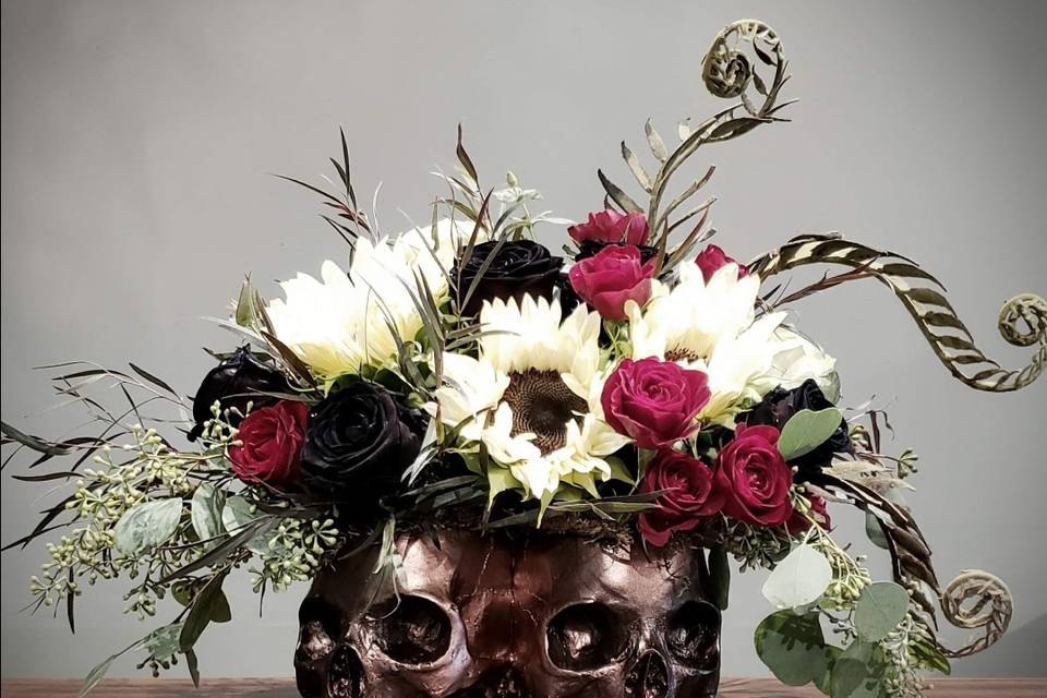 Siamese Skull